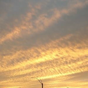 Meet your Posher, Amara